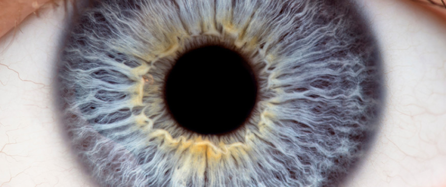 Diabetes and eyes – Pupil Disease Symptoms